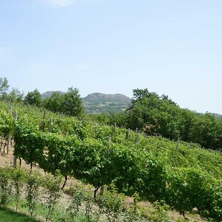 Agriturismo Ca' Del Sartu 보비오 외부 사진