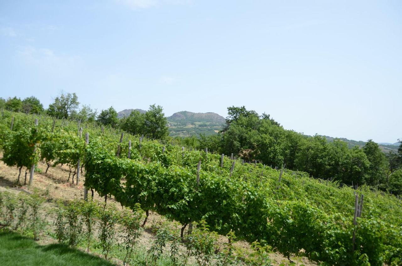 Agriturismo Ca' Del Sartu 보비오 외부 사진